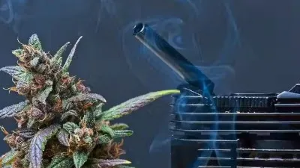 Dry herb vaporizers assistant